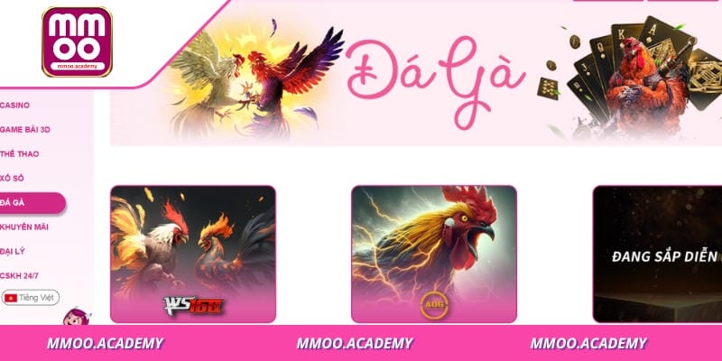 Có nhiều chiến thuật thông tin để cược thủ áp dụng