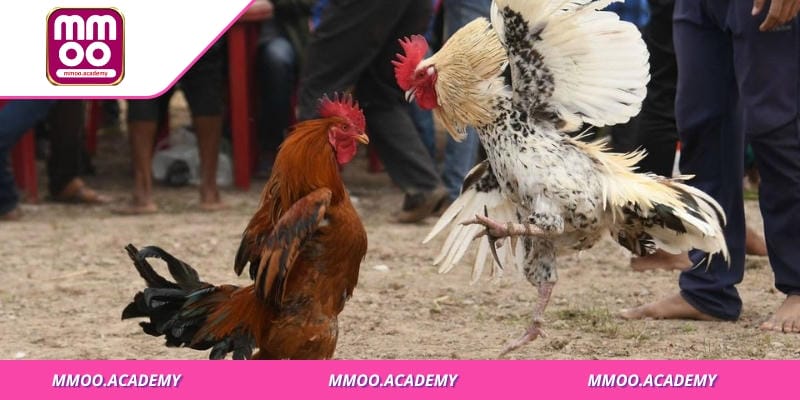 Đội ngũ CSKH của sảnh cược luôn có mặt đúng lúc